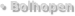 Bolhopen